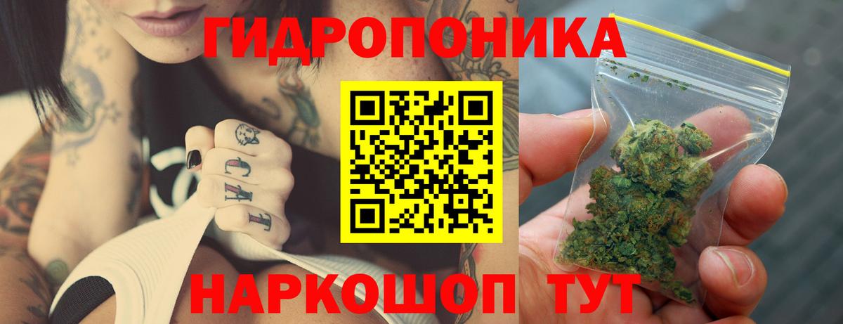 Заводоуковск  Каннабис сатива  Конопля марихуана  Шишки марихуана LSD WEED  Вход с VPN  Шишки марихуана LSD WEED 